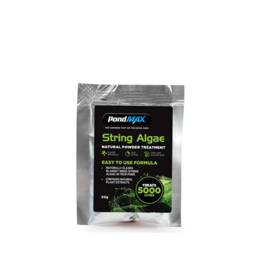 Pond Algae - Causes and Treatment