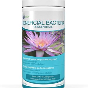 Aquascape beneficial bacteria concentrate 500g-0