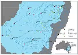 Distribution Freshwater Catfish