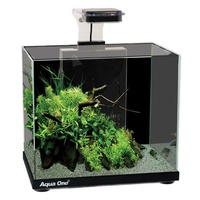 focus 14 nano tank for sale