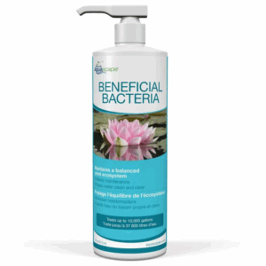 Benefiticial Bacteria Liquid filtration