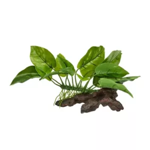 plastic aquarium plants for sale